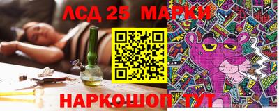 гидра Краснознаменск