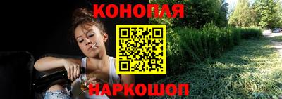 гидра Краснознаменск