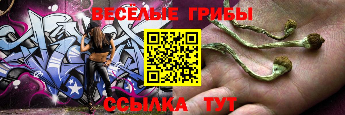 Псилоцибиновые грибы Cubensis  Вход с VPN  Галлюциногенные грибы Psilocybe  Валуйки 